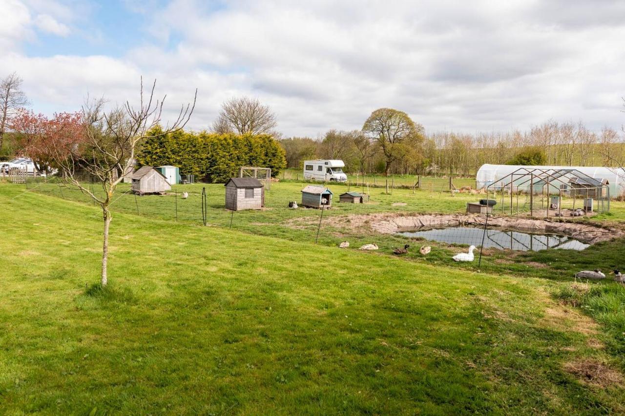 Llys Onnen - North Wales Holiday Cottage Mold Eksteriør bilde