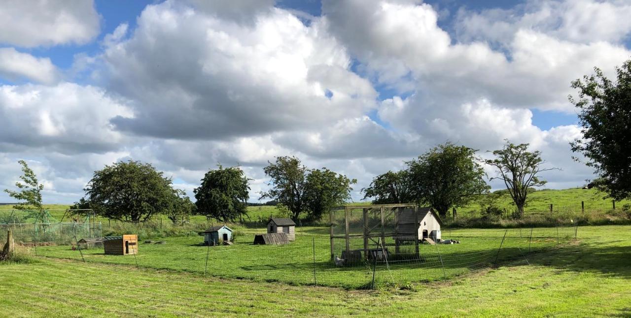 Llys Onnen - North Wales Holiday Cottage Mold Eksteriør bilde