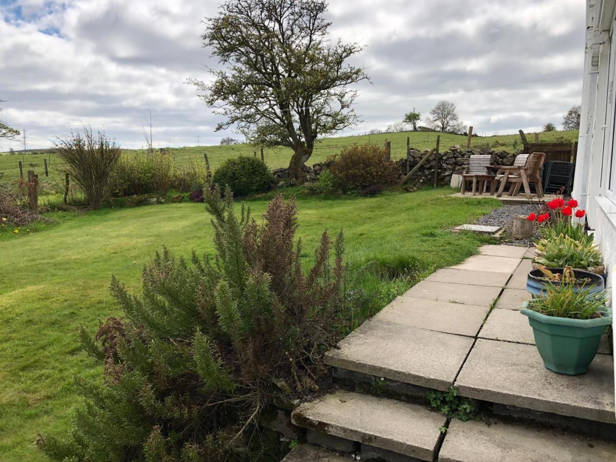 Llys Onnen - North Wales Holiday Cottage Mold Eksteriør bilde